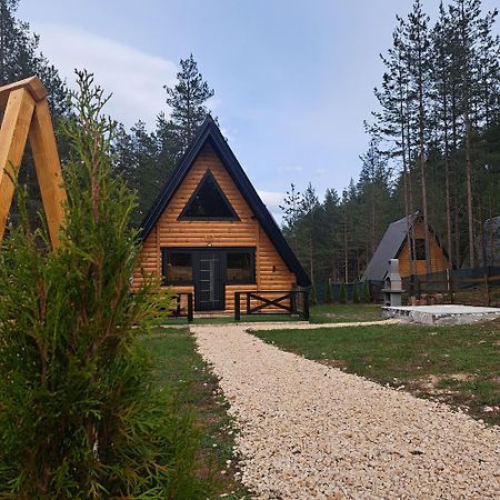 Pine Forest-Black Žabljak Buitenkant foto